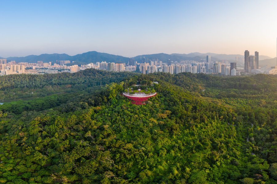 深圳紅色旅遊景點蓮花山公園