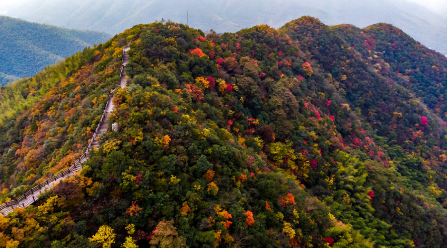 丽水有哪些地方_公园哪些山可以爬？值得一爬免费推荐！