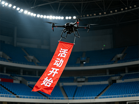 案例图片